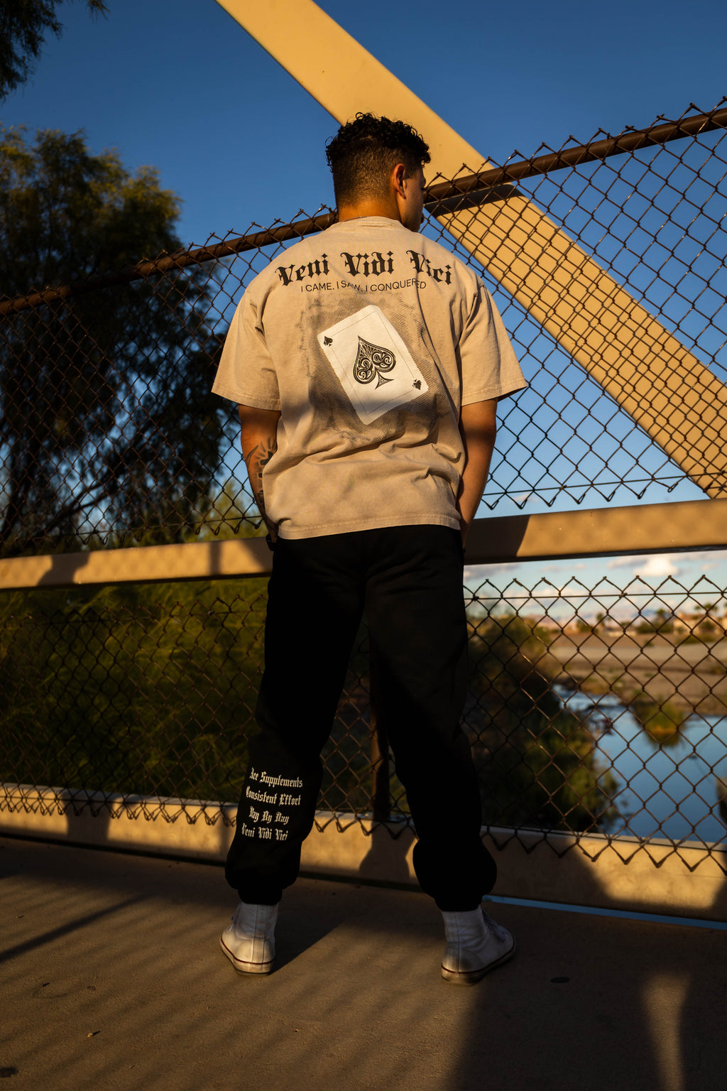 VENI VIDI VICI Tee
