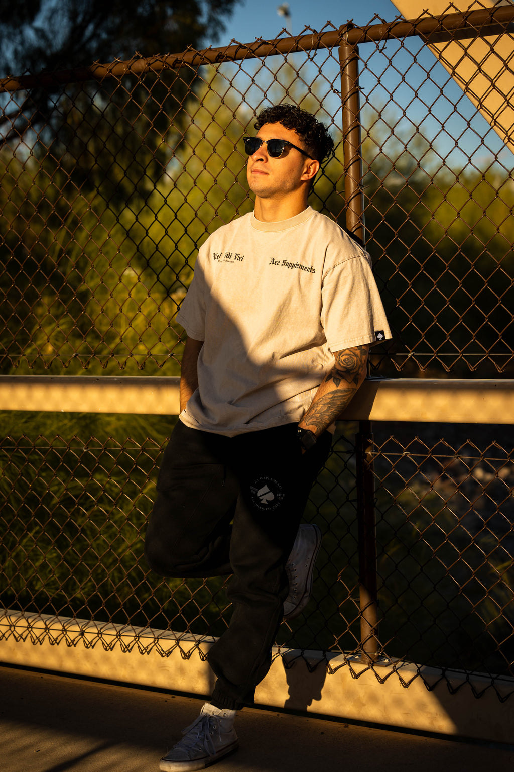 VENI VIDI VICI Tee