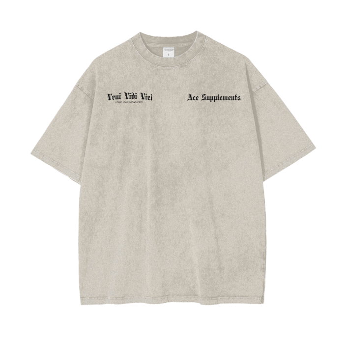 VENI VIDI VICI Tee